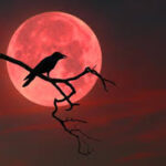 Noćna vožnja bicikla