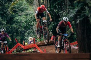 Read more about the article Vožnja uzbrdo