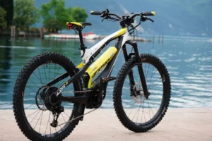 Ekspanzija razvoja električnih bicikala